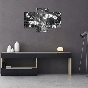 Obraz - Pavučina na lúke (90x60 cm)