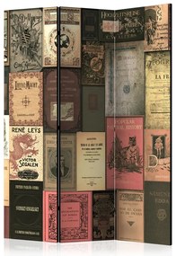 Artgeist Paraván - Books of Paradise [Room Dividers]