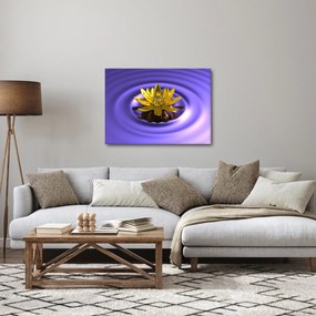 Obraz - Lekno (70x50 cm)