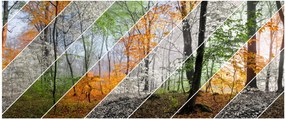 Obraz - Striedanie ročných období (120x50 cm)