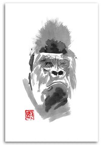 Gario Obraz na plátne Gorila - Péchane Rozmery: 40 x 60 cm