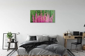 Sklenený obraz kvety vresy 120x60 cm