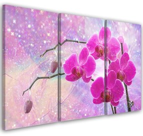 Obraz na plátně třídílný, Základní abstrakce orchidejí - 120x80 cm