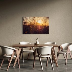 Obraz poľa pri západe slnka (90x60 cm)