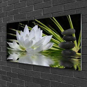 Skleneny obraz Kvety kamene zen voda 120x60 cm