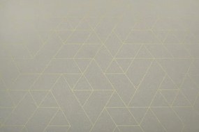 PVC podlaha Planet Jester 593 svetlosivá