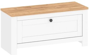 Skrinka na topánky Vesper 2 biely/wotan 44,8x93,7x35