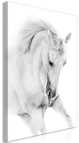 Obraz - White Horse (1 Part) Vertical Veľkosť: 40x60, Verzia: Na talianskom plátne