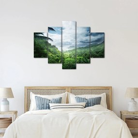 Obraz - Seychelská jungle (150x105 cm)