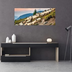 Obraz - Stádo oviec (120x50 cm)
