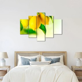 Obraz citrónov (150x105 cm)