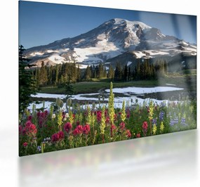 Sklenený obraz - Mount Rainier (70x50 cm)
