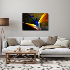 Obraz - Exotický kvet (90x60 cm)