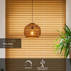 Lucide 03437/40/44 - Luster na lanku MOLOKO 1xE27/40W/230V pr. 40 cm