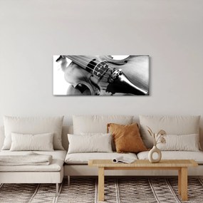 Obraz - Husle (120x50 cm)