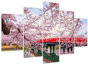 Obraz - Hirosaki, Japonsko (150x105 cm)
