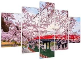 Obraz - Hirosaki, Japonsko (150x105 cm)