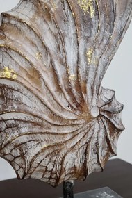 Morský šnek hnědý 30 cm