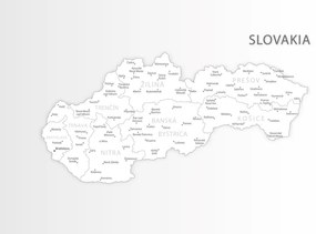 Tapeta podrobná mapa Slovenskej republiky v čiernobielom prevdení