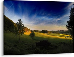 Obraz - Horská lúka (70x50 cm)