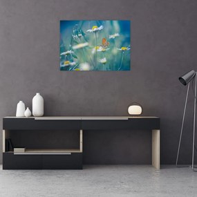 Obraz - Motýľ na sedmokráske (70x50 cm)