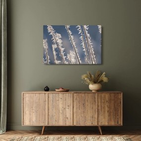 Obraz - Mrazík (90x60 cm)