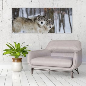 Obraz - Vlci v zime (120x50 cm)