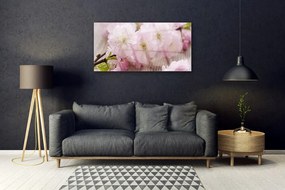 Obraz plexi Vetvy kvety plátky príroda 100x50 cm