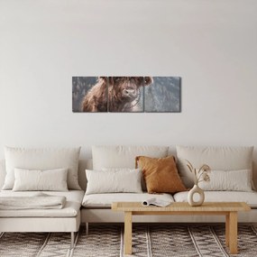 Obraz - Highlander krava (s hodinami) (90x30 cm)
