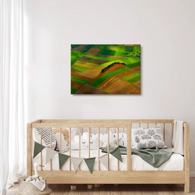 Sklenený obraz - Polia, lúky (70x50 cm)