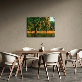Obraz žirafy v prírode (70x50 cm)