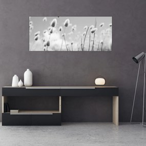Obraz - Boho bunny tail grass (120x50 cm)