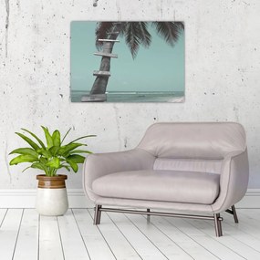 Obraz - Palma v Karibiku (70x50 cm)