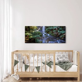 Obraz australského dažďového lesa (120x50 cm)