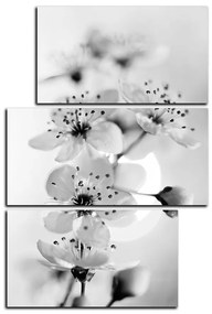 Obraz na plátne - Malé kvety na vetve - obdĺžnik 7173QD (90x60 cm)