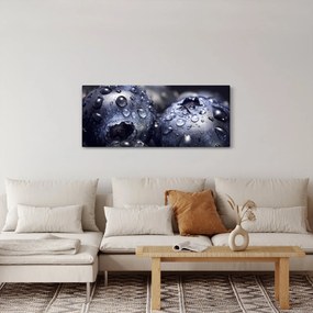 Obraz ovocia s kvapkami vody (120x50 cm)