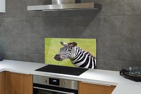 Nástenný panel  zebra 100x50 cm