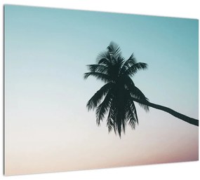 Sklenený obraz - Palma na Bali (70x50 cm)