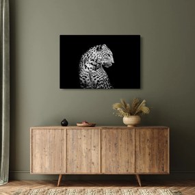 Obraz - Leopard (90x60 cm)