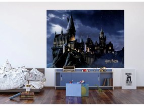 Detská fototapeta Harry Potter 252 x 182 cm, 4 diely