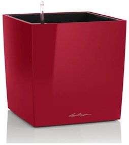 Lechuza Cube Premium All inclusive set scarlet red 30x30x30 cm