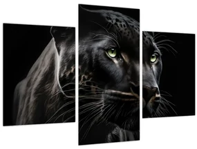 Obraz - Čierny panter (90x60 cm)