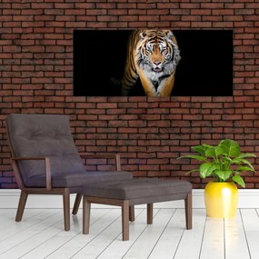 Obraz - Tiger (120x50 cm)