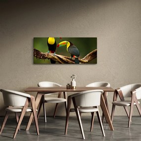 Obraz sediacich tukanov, Costa Rica (120x50 cm)