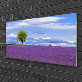 Skleneny obraz Pole levanduľa strom príroda 120x60 cm