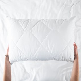 VANKÚŠ SILVER 50X70 CM BIELA