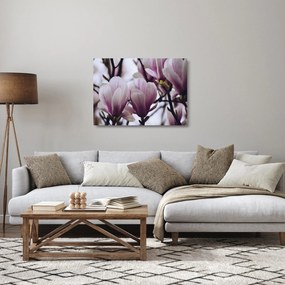Sklenený obraz - Magnolie (70x50 cm)