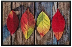 Ročné obdobia premium rohožka- farebné listôčky (Vyberte veľkosť: 75*50 cm)