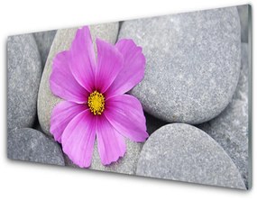 Sklenený obklad Do kuchyne Kvet kamene rastlina 120x60 cm