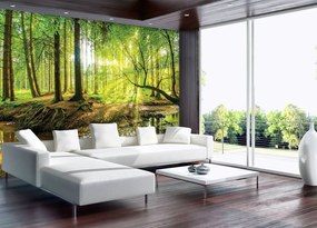 Fototapeta - Slnečný les (254x184 cm)